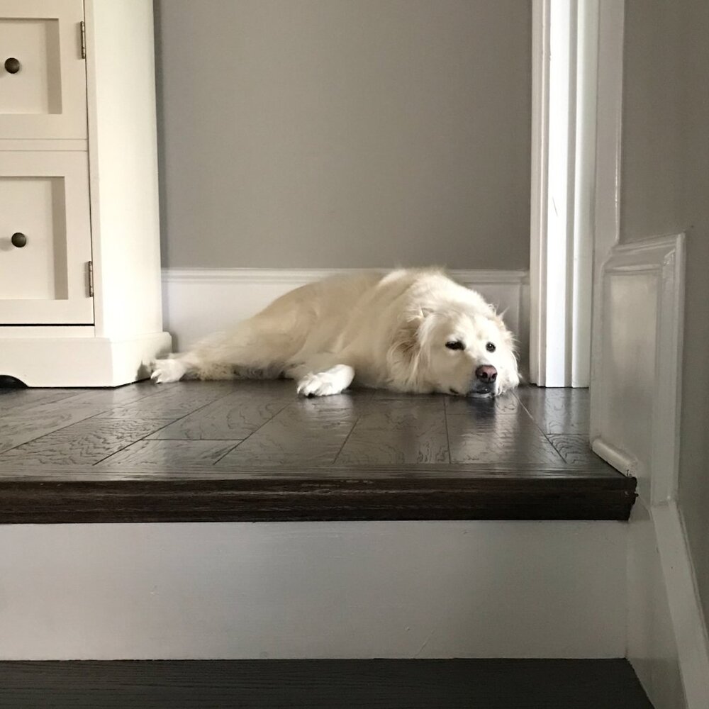 Meet your Posher, Timur